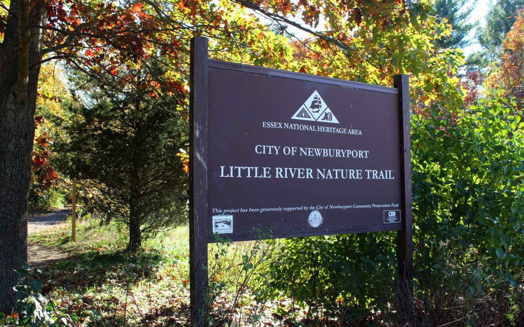 A New Link In Trail System