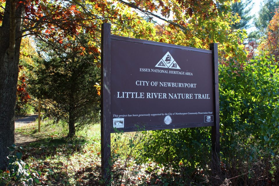 A New Link In Trail System