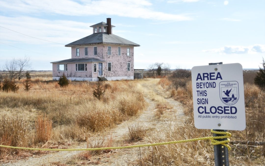 Could the Pink House Be Licensed?