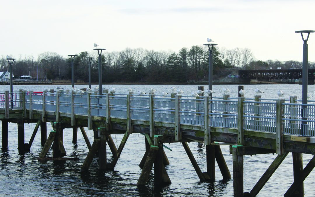 Swimmer Safety with Sewage Sensing