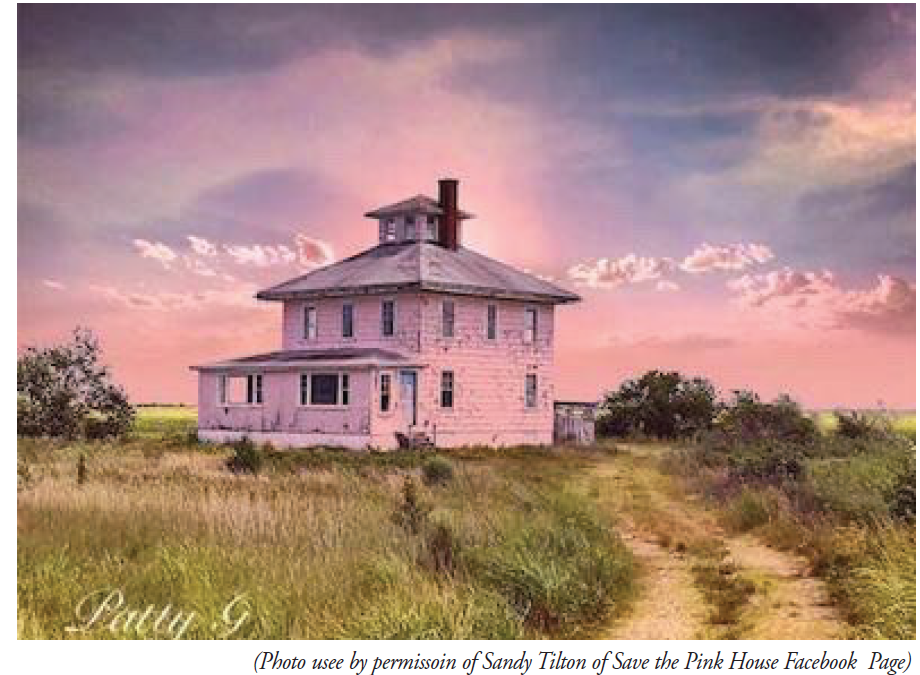 Will $1 Million Save the Iconic Pink House?