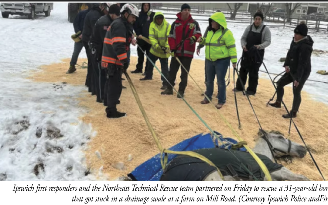 Ipswich First Responders and Northeast Technical Rescue Team Partner to Rescue Horse