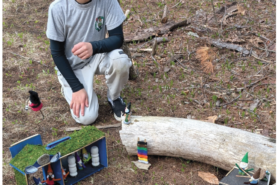 SALISBURY: Playing With Fairies and Gnomes