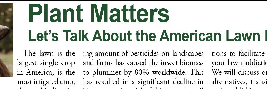 Plant Matters: Let’s Talk About the American Lawn Fetish