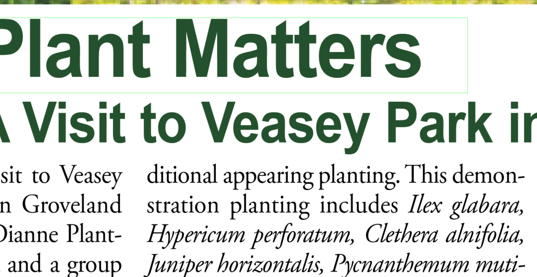 Plant Matters – A Visit to Veasey Park in Groveland