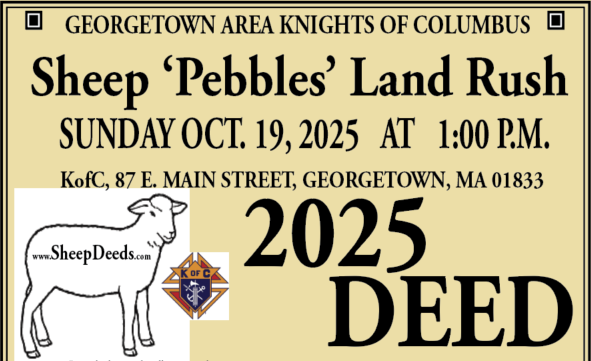 Buy Your Sheep ‘Pebbles’ Land Rush Deed Today!
