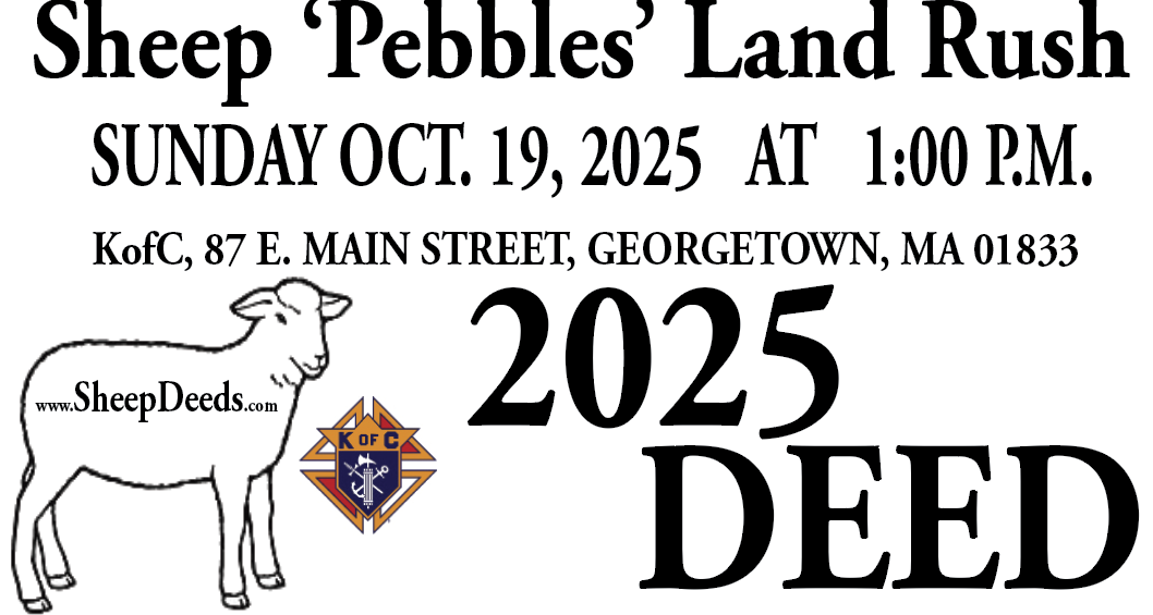 Buy Your Great Grand Sheep ‘Pebbles’ Land Rush Deed Today!