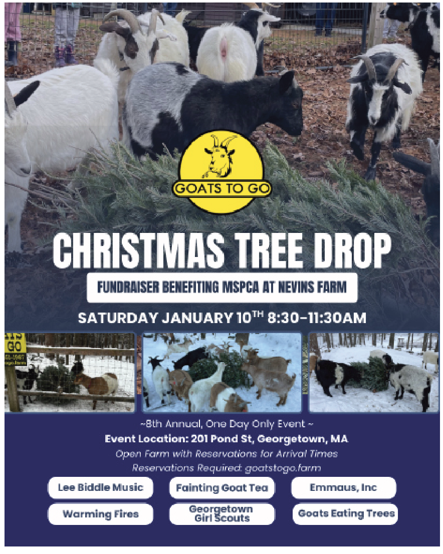 More Than a Tree Drop: How One North Shore Farm Turned a  Post-Holiday Problem Into a  Winter Tradition of  Joy, Learning, and Community