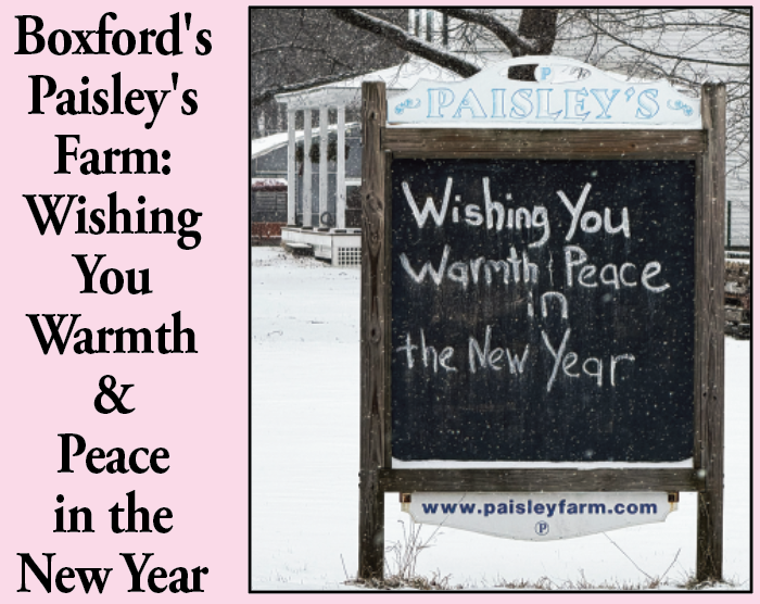 Boxford’s Paisley’s Farm: Wishing You Warmth & Peace in the New Year