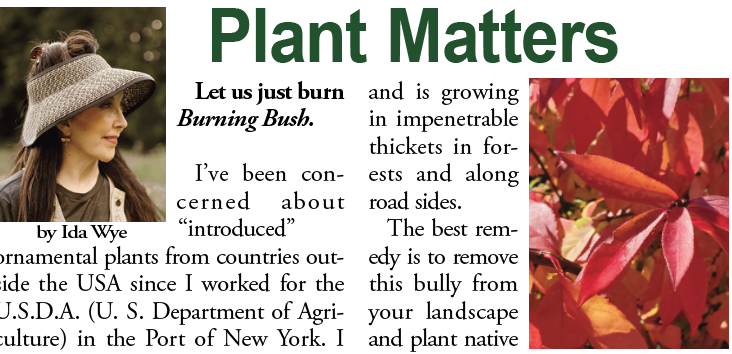 Plant Matters – Burn the Burning Bush!