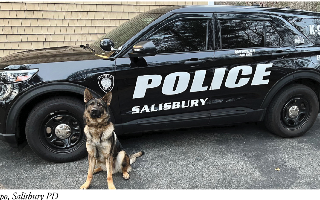 Amesbury and Salisbury Police K-9 Officers and Dogs to Visit Newbury Town Library, April 8th at 3:30 p.m.