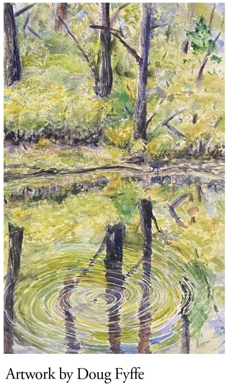 Newburyport Art presents  Watercolor Interest Group Show & Sale Through Saturday, April 25